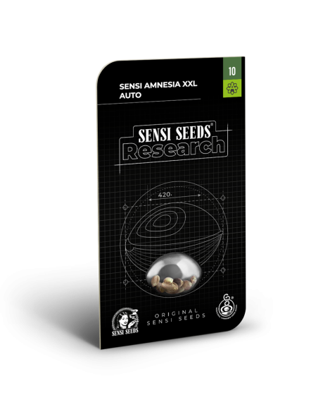 SENSI SEEDS - Sensi Amnesia XXL - 2