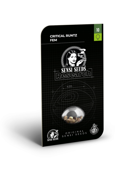 SENSI SEEDS - Critical Runtz - 2