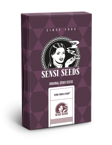 SENSI SEEDS - Sensi Purple Kush - 2