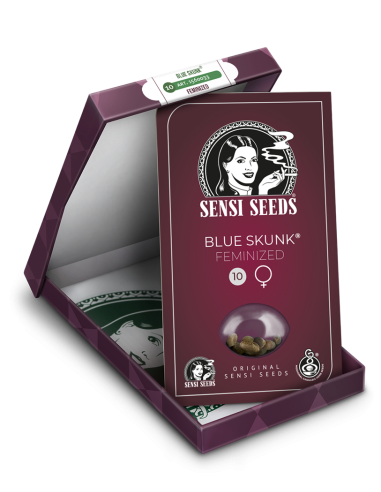 SENSI SEEDS - Blue Skunk - 3