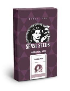 SENSI SEEDS - Tangerine Sugar - 1 2