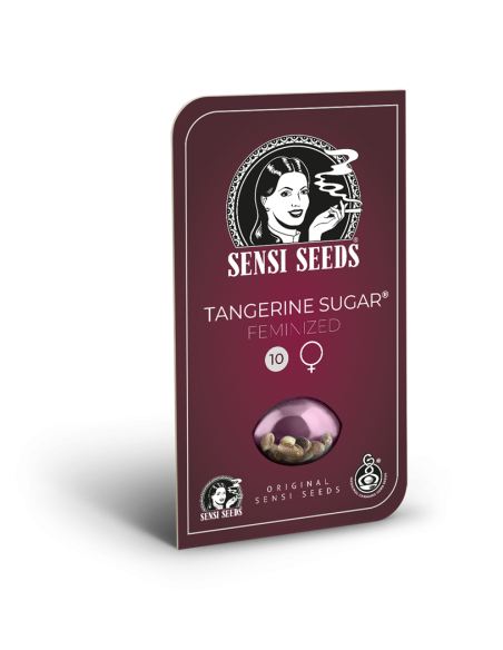 SENSI SEEDS - Tangerine Sugar - 3