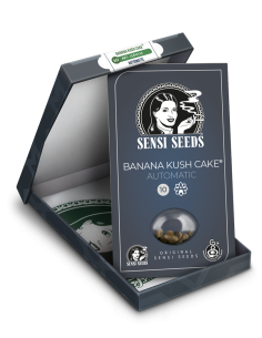 SENSI SEEDS - Banana Kush Cake Auto - 1 2