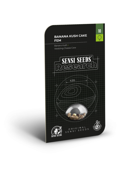 SENSI SEEDS - Banana Kush Cake - 2
