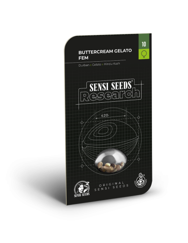 SENSI SEEDS - Buttercream Gelato - 2