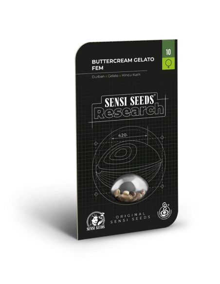 SENSI SEEDS - Buttercream Gelato - 2