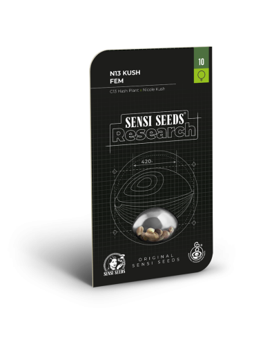 SENSI SEEDS - N13 Kush - 2