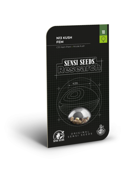 SENSI SEEDS - N13 Kush - 2