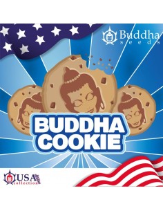 Buddha Seeds - Buddha Cookie - 1