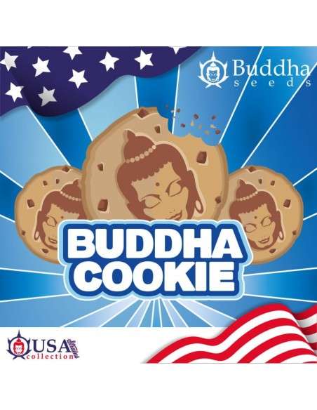 Buddha Seeds - Buddha Cookie - 1