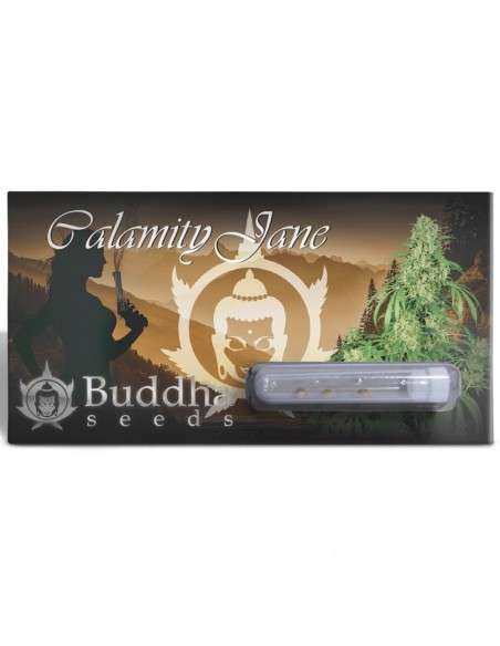 Buddha Seeds - Calamity Jane Auto - 1