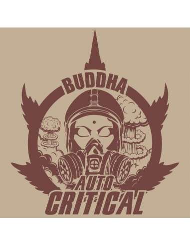 Buddha Seeds - Critical Auto - 1