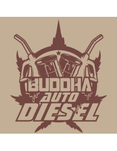 Buddha Seeds - Diesel Auto - 1