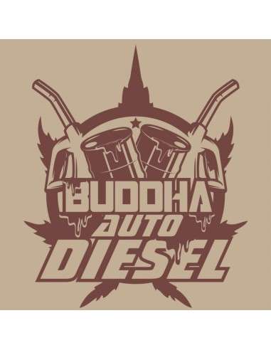 Buddha Seeds - Diesel Auto - 1