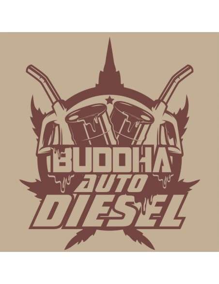Buddha Seeds - Diesel Auto - 1