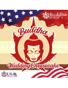 Buddha Seeds - Wedding Cheesecake - 1