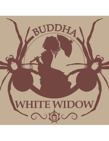 Buddha Seeds - White Widow - 1