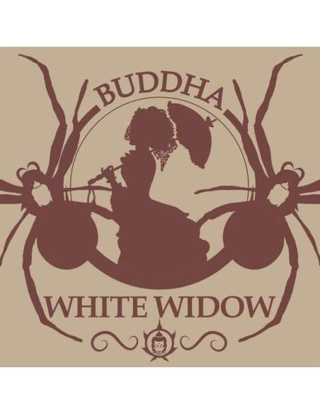 Buddha Seeds - White Widow - 1