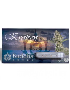 Buddha Seeds - Kraken - 1