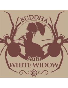 Buddha Seeds - White Widow Auto - 1