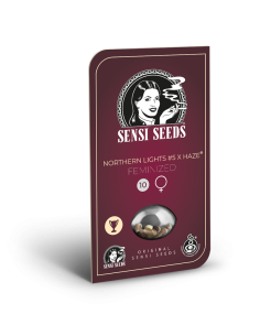 SENSI SEEDS - Northern Lights 5 x Haze - 1 2
