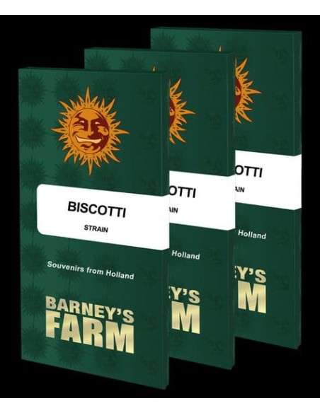 Barney's Farm - Biscotti - 2