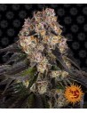 Barney's Farm - Girl Scout Cookies - 1