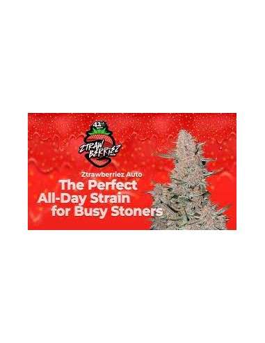 FastBuds - Ztrawberriez Auto - 1