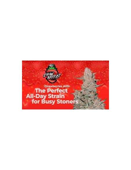 FastBuds - Ztrawberriez Auto - 1