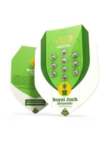 ROYAL QUEEN SEEDS - Royal Jack Automatic - 3