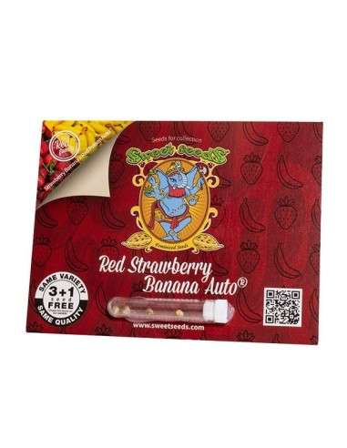 Sweet Seeds - Red Strawberry Banana Auto - 2