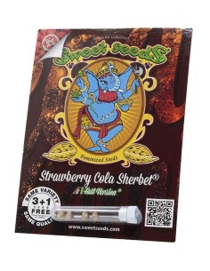 Sweet Seeds - Strawberry Cola Sherbet F1 Fast Version - 1 2