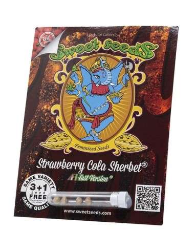 Sweet Seeds - Strawberry Cola Sherbet F1 Fast Version - 2
