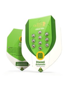 ROYAL QUEEN SEEDS - Diesel Automatic - 1 2