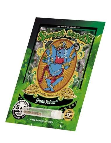 SWEET SEEDS - Green Poison 100szt - 5