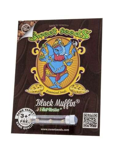 Sweet Seeds - Black Muffin F1 Fast - 2