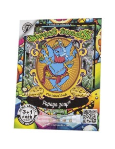 Sweet Seeds - Papaya Zoap F1 Fast - 1 2