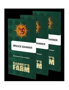 BARNEY’S FARM - BRUCE BANNER - 1 2