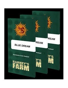 Blue Dream - BARNEY'S FARM - 1