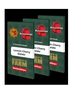 Lemon Cherry Gelato - BARNEY'S FARM - 1 2