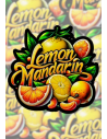 FastBuds - Lemon Mandarin - 1 