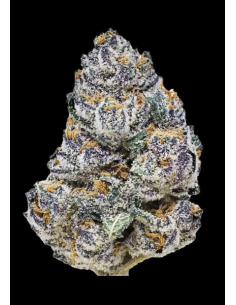 FastBuds - Rainbow Melon - 1 2