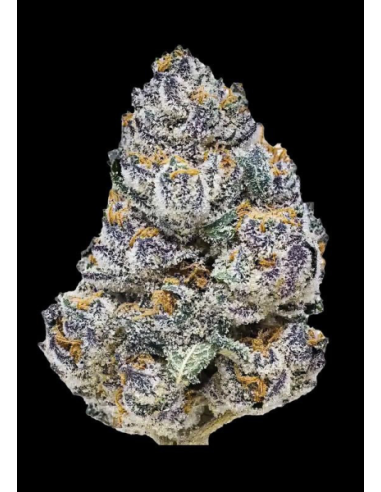 FastBuds - Rainbow Melon - 2 