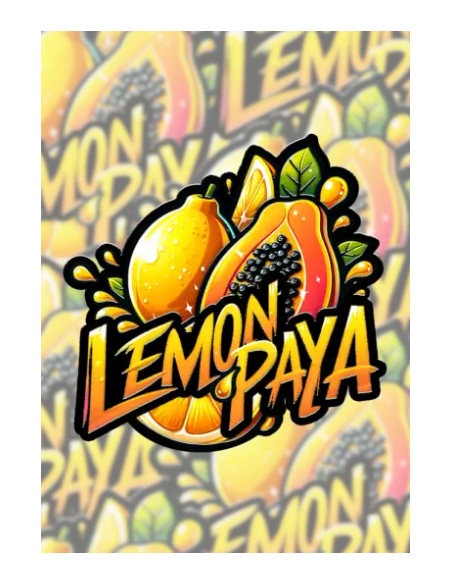 FastBuds - Lemonpaya - 1 