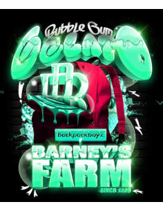 BARNEY'S FARM - Bubblegum Gelato - 1 
