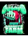 BARNEY'S FARM - Bubblegum Gelato - 1 
