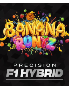 Banana Runtz - BARNEY'S FARM - 1 
