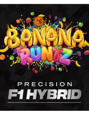 Banana Runtz - BARNEY'S FARM - 1 