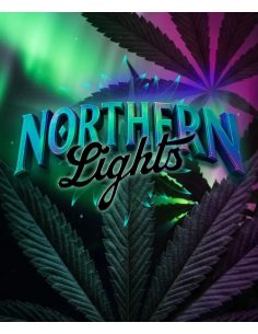 BARNEY'S FARM - Northern Lights - 1 