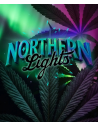 BARNEY'S FARM - Northern Lights - 1 